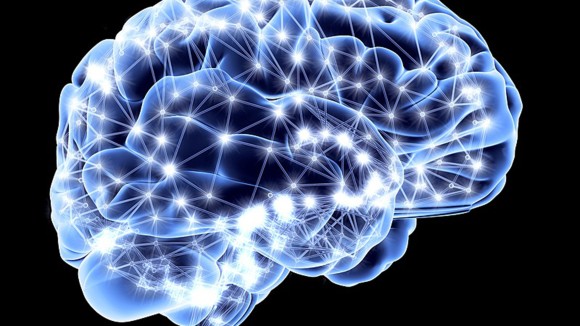 Brain Science in 2026: How Neuroscience Is Redrawing the Map of the Mind